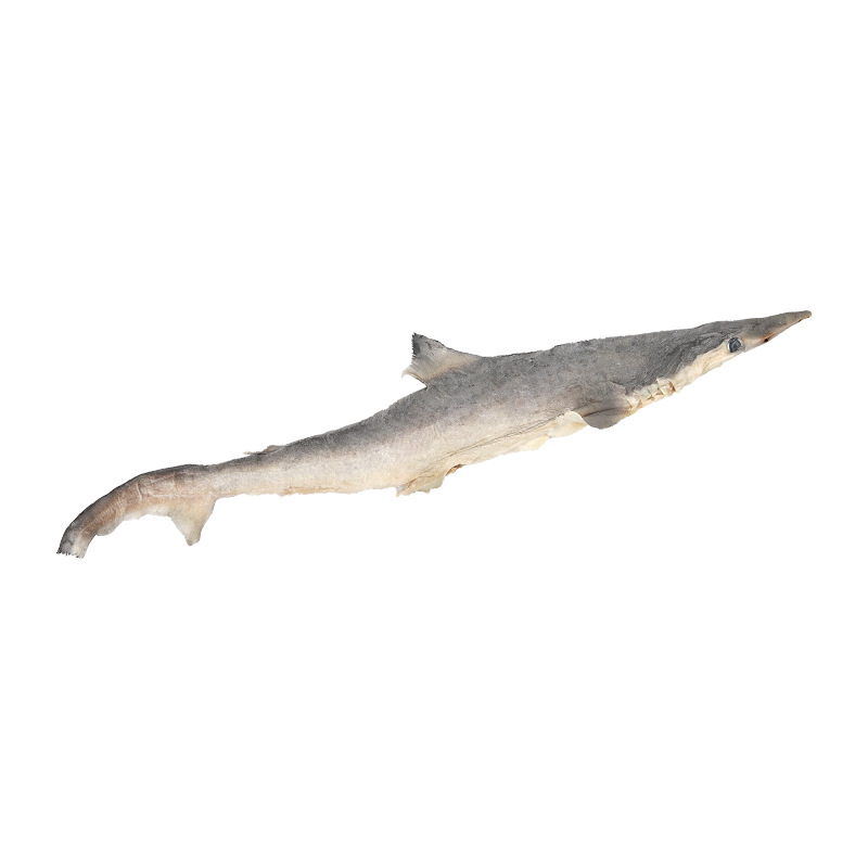 Freeze-Dried Small Shark Cartilage for Cats and Dogs, Pet Chew Sticks, Whole Dried Shark Skin and Meat