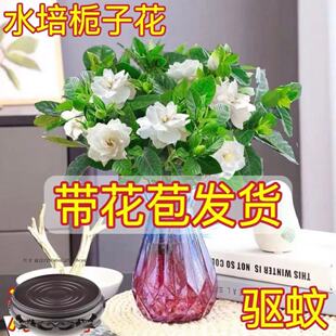������ˮ���d�ӻ������՚��҃����ļ�����ˮ�B�҃����ֲ���