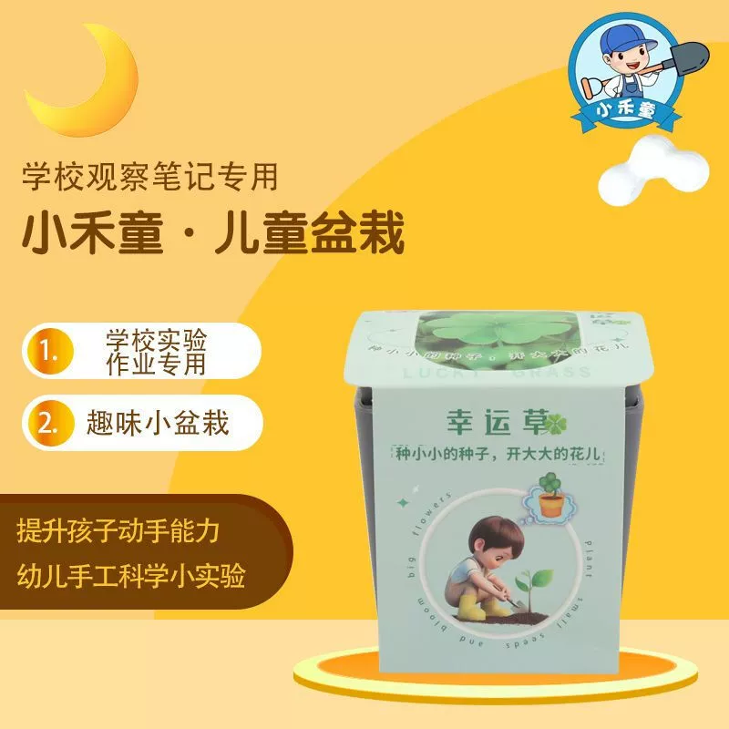 Семена подсолнечника, детская забавная маленькая чашка для посадки в горшке, клевер, деньги, хризантема, горшок, сделай сам, детский сад, школа