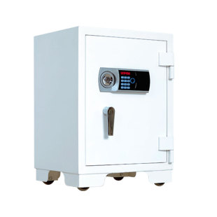 Cross-Border Fire Safe Large Fingerprint Electronic Password