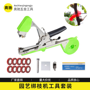 ��ͥ��֦�C�@ˇ����10����1��������t���S�������Cʡ���������b