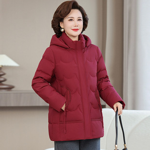 �ߙn�Bñ��q��Ů2025�¿�Ӻ񱣕�������|���Ű����q����������
