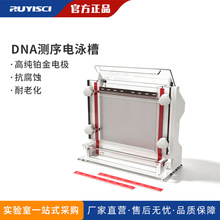 DNA测序电泳槽基因测序电泳仪实验室科研院校生物电泳装置电泳仪