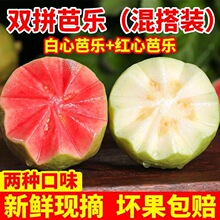 �������rܛŴ�t�����pƴ���Ͳ�ݮ�Ř�����ˮ����ʯ��Y���b���l