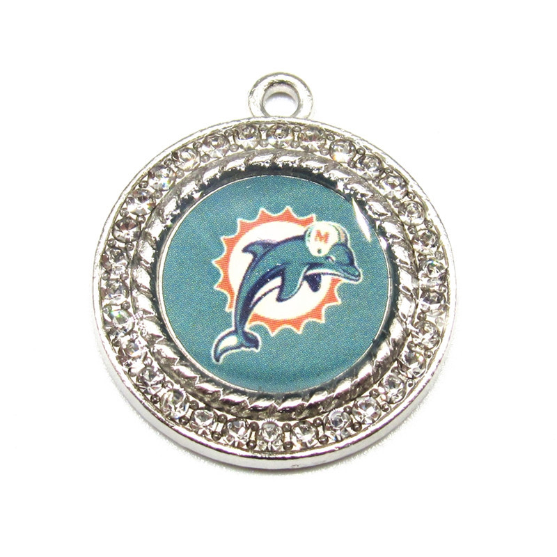 마이애미 돌핀스