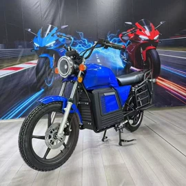 电动摩托车;两轮摩托车