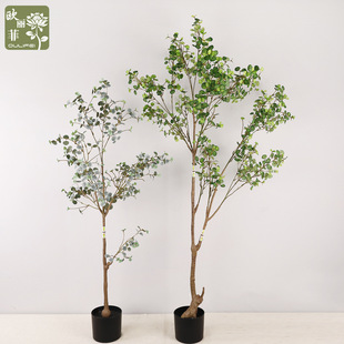 �羳����b���Ę�߷��汱�W���sС�~����b�ֲ�������b[��