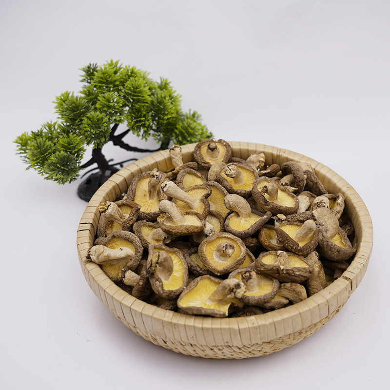 e65aaa755aaa3c371e9c0fc1ad2005