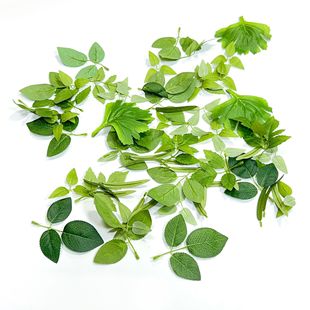 ���~�S�����l����zӡ���~�Gɫ�ݻ�c�廨�ٺ��~õ���~ǧ�������~