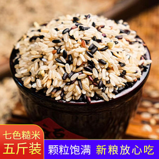 ��ɫ���׽M�Ϻ���������������s�Z�򶹝{����������F����ּZ