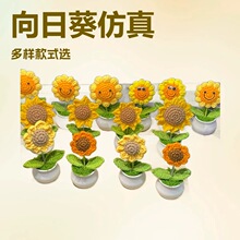 ��Ʒ�羳ë�����տ����Է��滨��������[���_�W���̎���С�Y��