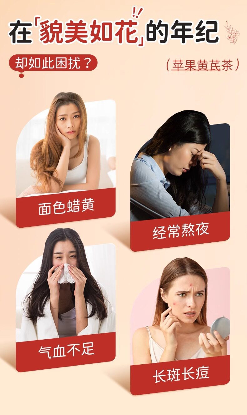 Apple Astragalus Herbal Tea Bags with Mai Dong Longan Red Date Goji Berry Flower Tea for Daily Wellness 25g overview