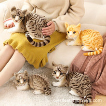 ؈�䲼���޿ɐ�؈���Ѓ�ͯë�q���Ů���Y��羳���l