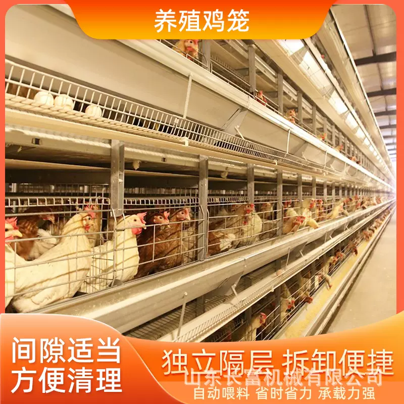 全自动鹌鹑笼肉鸡H型笼肉鸡A型鸡舍笼家用养殖层叠式蛋鸡笼鸽子笼