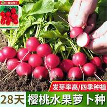 }Nӡ28աˮС}ļ̨ˮ߲˷N