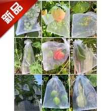 水果保护袋草莓防鸟防虫网眼袋西红柿番茄葡萄网套袋网眼袋子