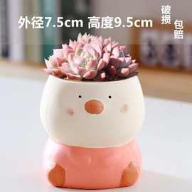 一件代发卡通动物多肉陶瓷花盆特价清仓大口径可爱多肉专用盆批发
