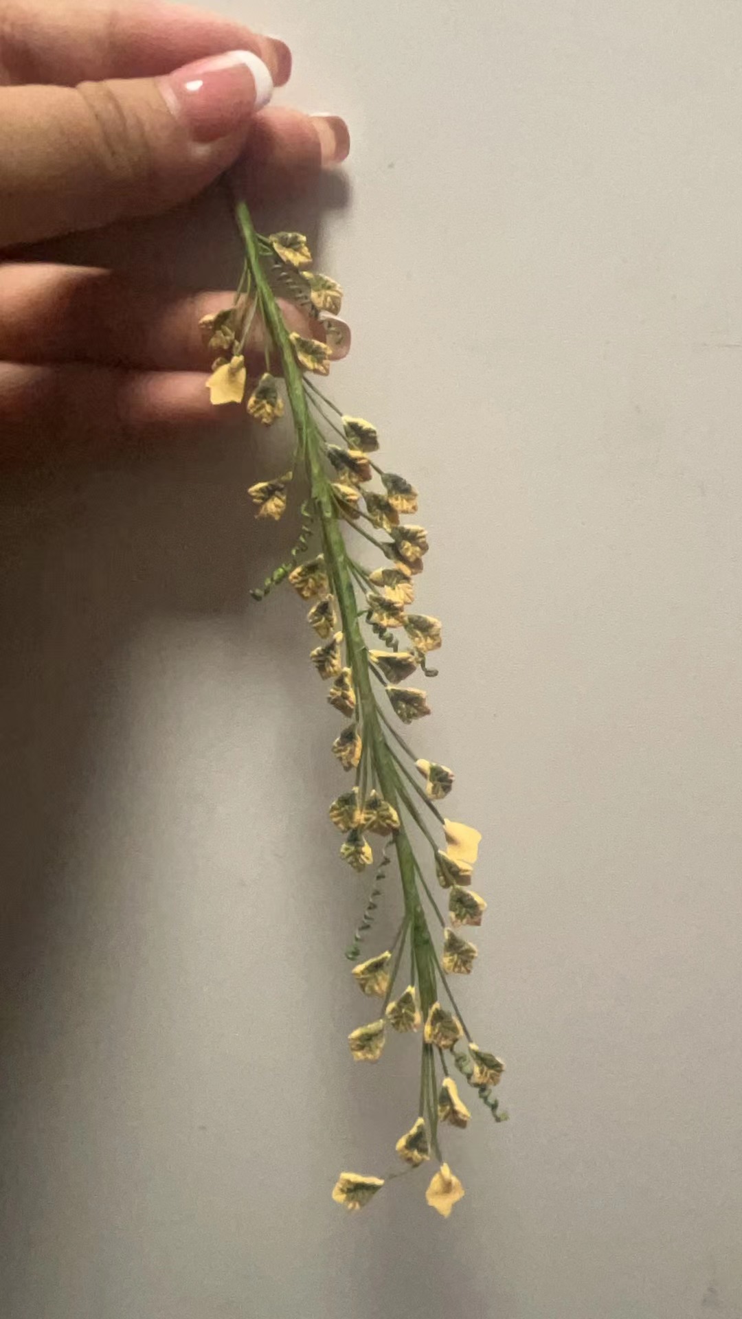 1:12ճ�������������װ��dollhouse����diy��������ģ��õ����