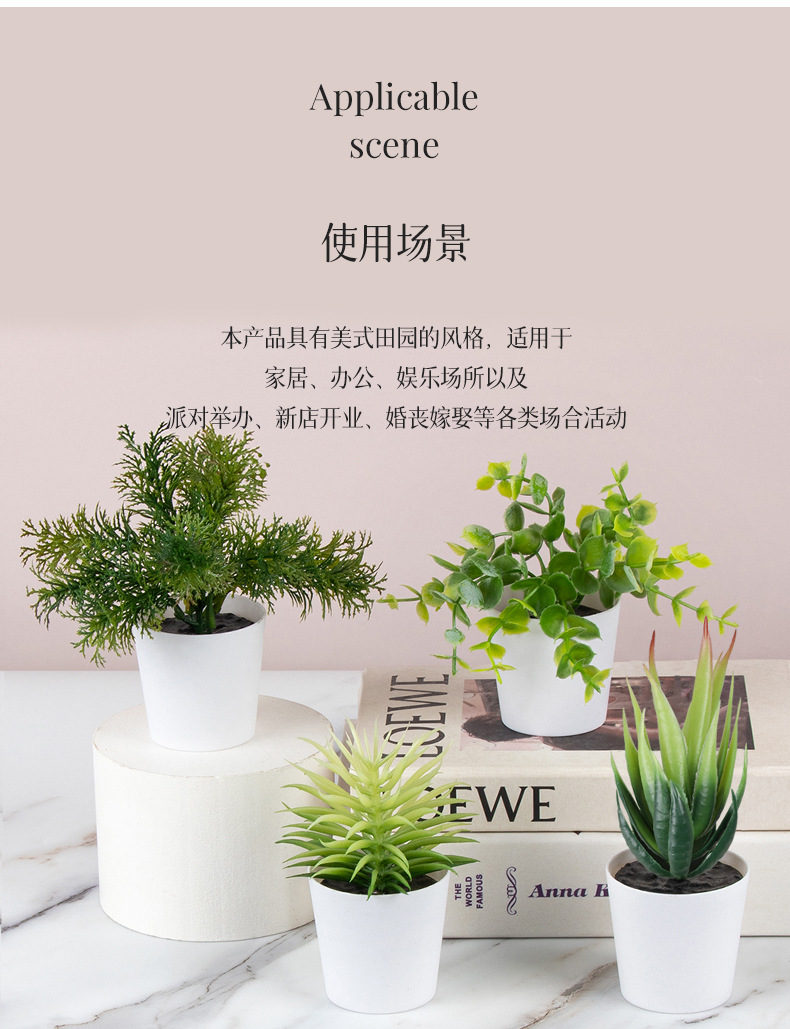 详情页_29 拷贝.jpg