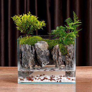 ˮꑸ��쾰ȫ��̦�\΢���^�����k������Gֲ��Ʒ΢���^���B�~��