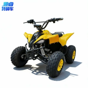 Uşaq Elektrikli Çimərlik Velosipedi, Dörd Təkərli ATV, Qar Kiçik Hər Yerdə İşləyən Nəqliyyat