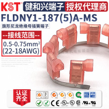 KSTdFLDNY1-187(5)A-MS^ BͲ ULJC