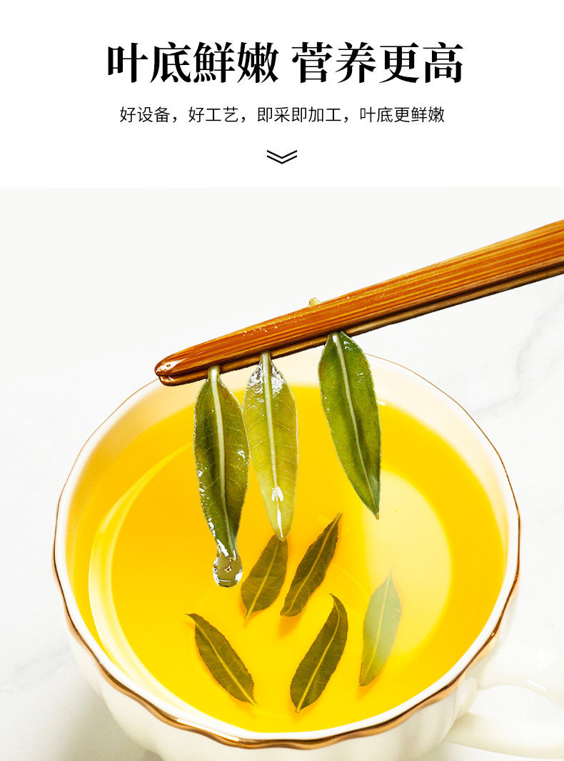 Luo Bu Ma Tea Apocynum Leaf Tea 1000g Xinjiang Herbal Wellness Tea for Daily Brewing details