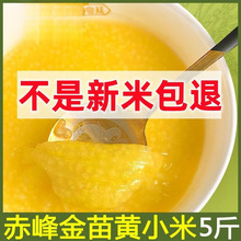 2023������ ���ɹų���SС�׳Ե�����Ŵ5�ﰽ�h����s�ZʳƷ���l