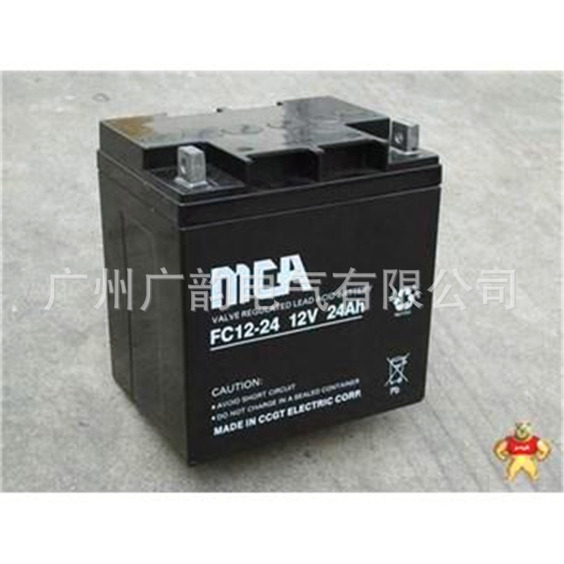 锐牌 MCA蓄电池FC12-24 锐牌12V24AH铅酸ups蓄电池 含税 安装报价