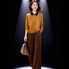 秋冬韩系女装套装2025新款女装洋气长袖polo领针织衫阔腿裤两件套