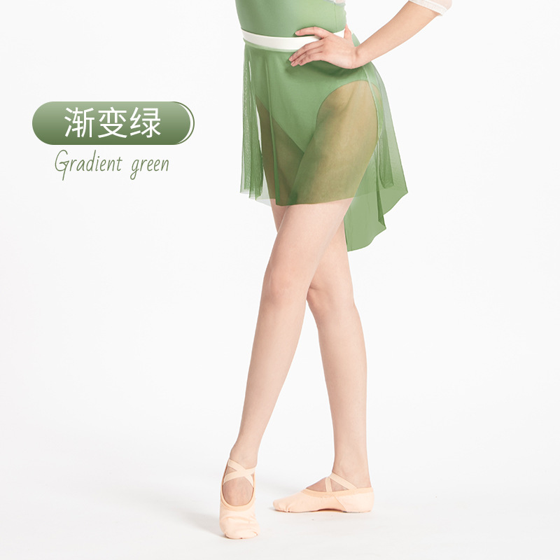 Adult Dance Skirt For Women,Gradient Irregular Skirt,Elastic Waist Skirt,Ballet Performance Practice Mesh Skirt