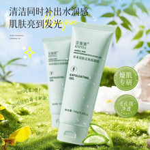 �羳��Ӣ���J�Cȥ���|���z�غ��坍���wȥ���|�̝����w���z��Ʒ