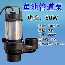 鹤见管道泵拔管仓排污泵锦鲤鱼池大流量高扬程吸污泵底吸潜水泵
