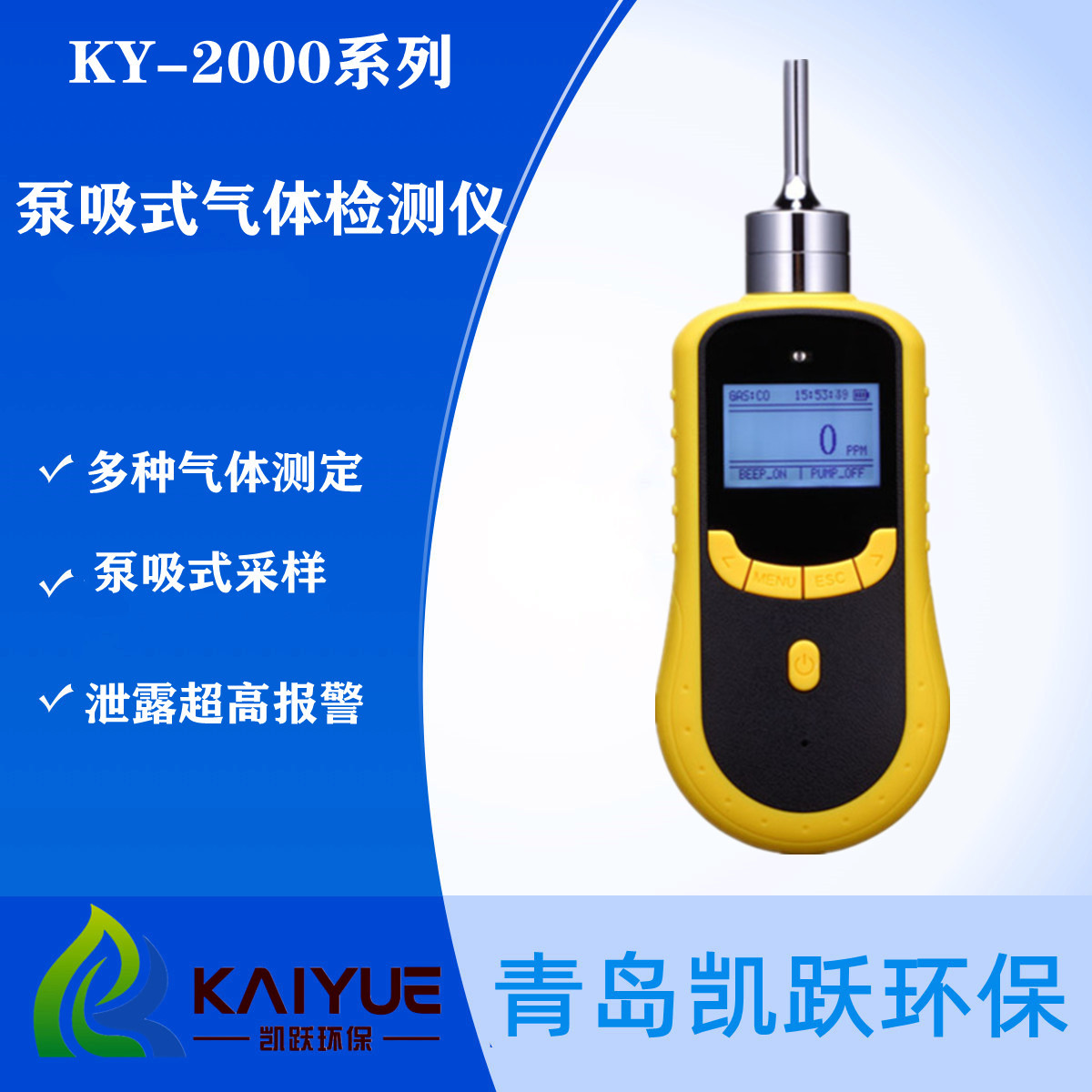 二氧化硫泵吸式气体检测仪 KY-2000型二氧化硫气体分析仪