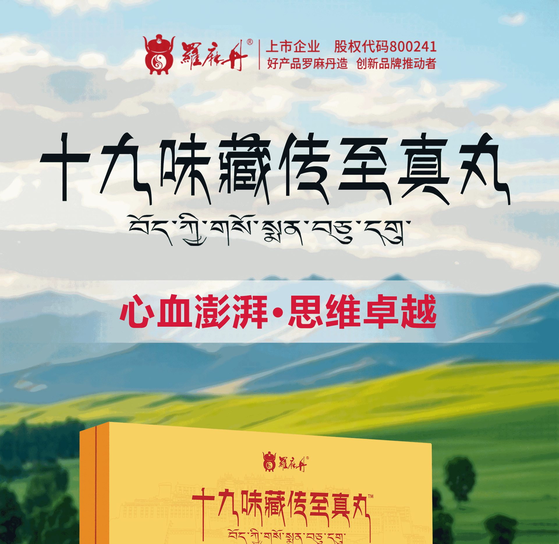 Nineteen Herb Tibetan Wellness Pills Shizhen Wan Ginseng Lingzhi Daily Herbal Supplement 144g overview