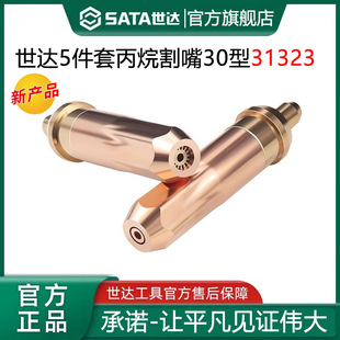 ���_���������� ������Ȳ����Һ���☌30��100�͚���5����31311