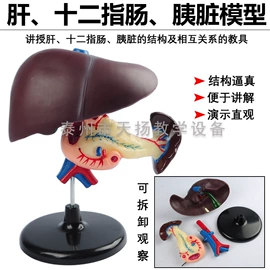 教学演示用品;教学仪器;数理教学器材