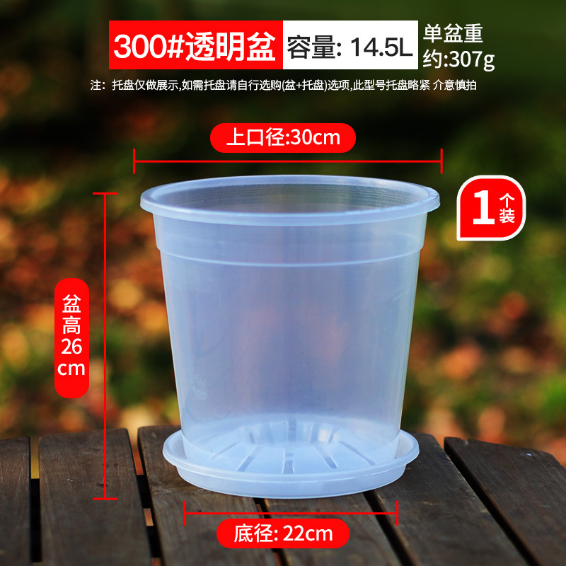 maceta especial para orquídeas mariposa maceta de montaña verde de alta transparencia maceta de orquídeas Wenxin maceta transparente maceta de observación de raíces maceta de control de raíces maceta de orquídea