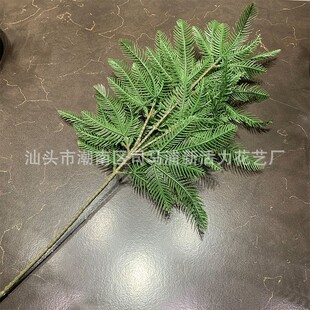 ���淨�����}�Q���b��~�G���@�ּt��ɼ���~���ɰ��~ɼ���~���l