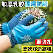 �@ˇ���׷��̷�ˮ�N���¼��@�ַNֲ���û�ˇ���׷������o�β�