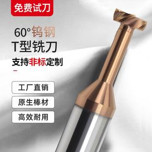 ���T��㊵�60���u����w4��T�����L�ܿ�ֱ����ĥ�Ͻ��T��t�β۵�