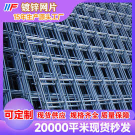 镀锌焊接钢筋网鸡鸽鸟笼养殖铁丝防护网批发优质钢丝网厂镀锌网片