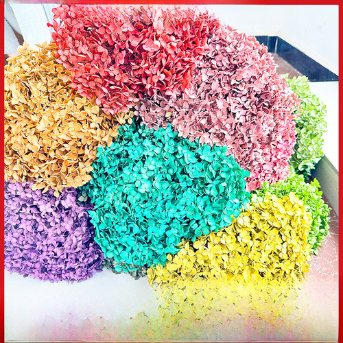 Yunnan factory wholesale: Eternal Small-Leaf Anna Dyed Hydrangea, Eternal Flowers, DIY Decorative Floating Flowers, and Auxiliary Materials for Wholesale