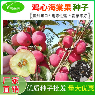 �u�ĺ��Ĺ��N���u�Ĺ��N���\�����Ĺ�ͥԺ�ļ��Nֲ����С�O����