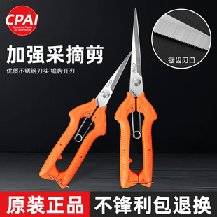 CPAIժ�����ɹ���@ˇ���޻���֦�����߼�ժ��������ժ���߼���