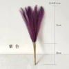 Purple 55cm