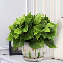 批发代发仿真绿萝套装塑料绿植家居室内免打理绿萝盆栽阳台装饰品