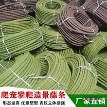 �ľ�з�����ٗl����֘��ٗl�쾰�����������������⏝���b��̫��