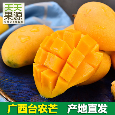 産地貨源 廣西台農芒果5斤整箱大果禮盒裝廣西水果樹上熟台芒批發