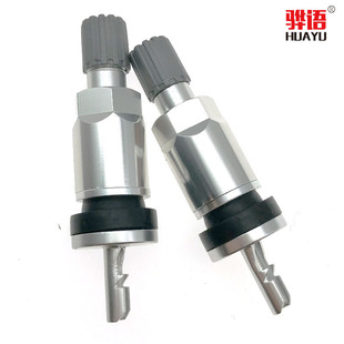 Applicable to xinqijun valve xinxuanyi Teana Qashqai Nissan tire pressure monitoring aluminum alloy valve
